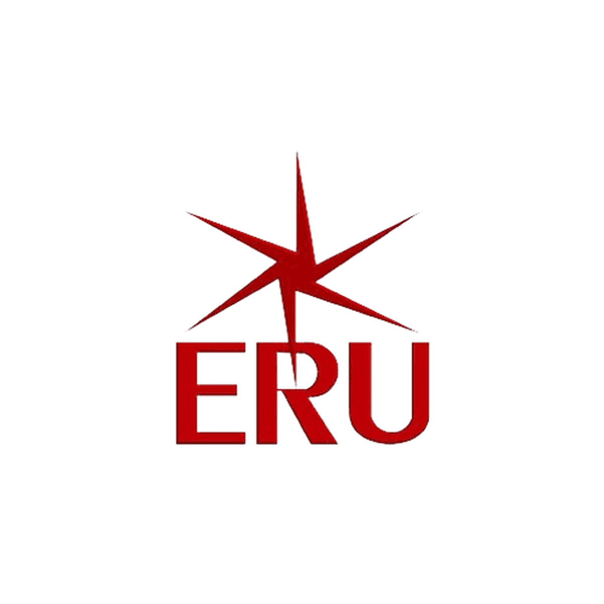 Egyptian Russian University 开罗市巴德城的官方校园或机构形象.