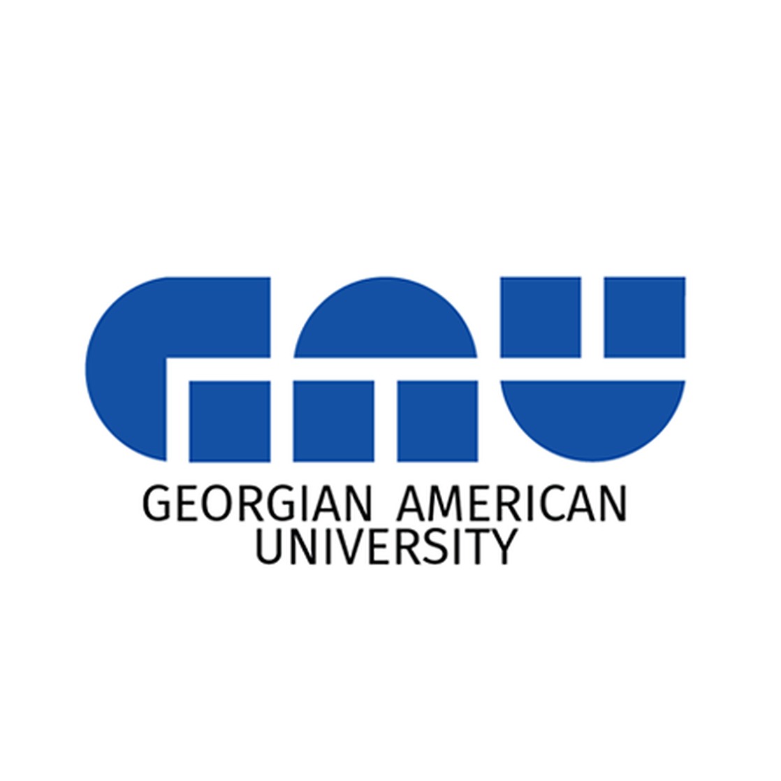 Georgian American University تصویر رسمی نهادی در تفلیس، گرجستان.