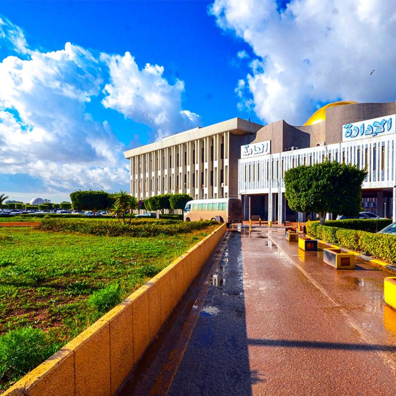 جامعة بنغازي — صورة المعرض 6
